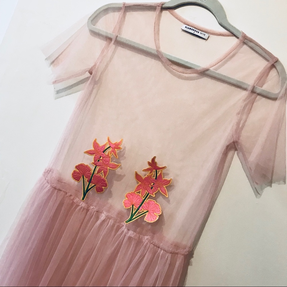 Pink Sheer Mesh Babydoll Dress